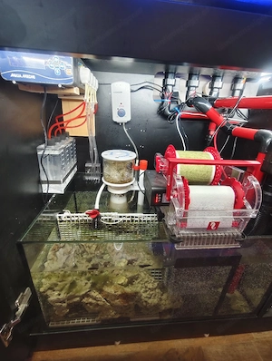 Meerwasseraquarium Bild 2
