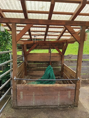 Heuraufe für Pferd, Pferde  Bild 3