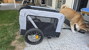Hundeanhänger für Fahrrad Bild 2