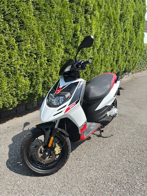 Aprillia sr50 motard Bild 10