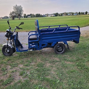 Verkaufe elektro lasten fahrad  ldr 25 Bild 7