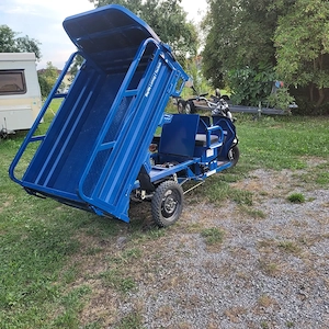 Verkaufe elektro lasten fahrad  ldr 25 Bild 5