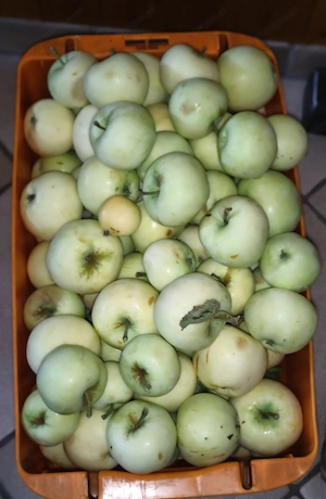 Klar Äpfel 