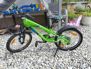 20 Zoll Kinder-Mountainbike Cygnus Dirt Rider   Top Zustand mit Schutzblechen & Ständer Bild 2