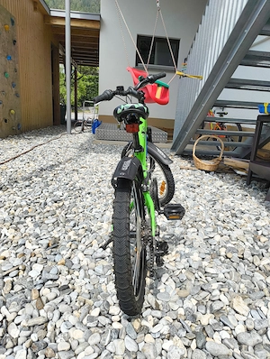20 Zoll Kinder-Mountainbike Cygnus Dirt Rider   Top Zustand mit Schutzblechen & Ständer Bild 3