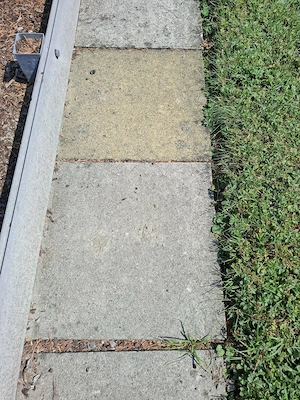 Gehwegplatten 46x46 cm zu verschenken