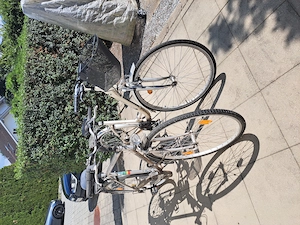 Herren und Damenfahrrad