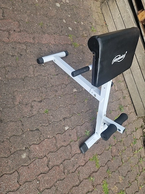bizeps und trizeps, Rücken Bild 3