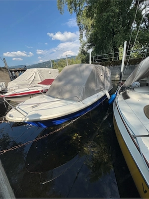Motorboot Draco Bild 5