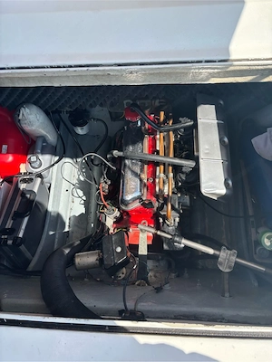 Motorboot Draco Bild 3