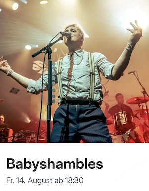 1 Ticket Poolbar Babyshambles 14.08
