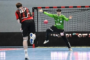 Alpla HC Hard - VIP-Saisonkarte für Saison 2026 27 Bild 2