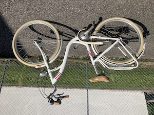 Damen - Fahrrad 