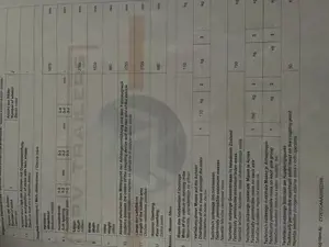 Auto   PKW Anhänger TPV Bild 2