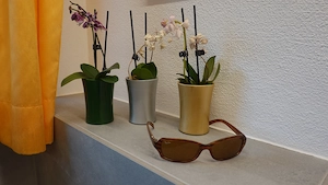  Sonnenbrille, Ray Ban Sunglasses RB 2130 Wrap Rituals Pande 938 Bild 4