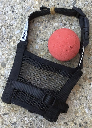 Hundespielzeug,Geschirr, Flexileine, Maulkorb Bild 8