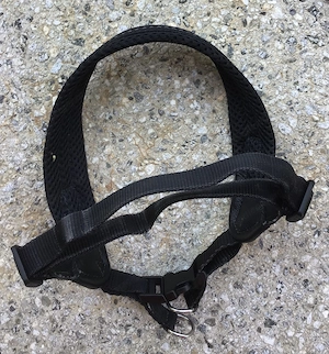 Hundespielzeug,Geschirr, Flexileine, Maulkorb Bild 5