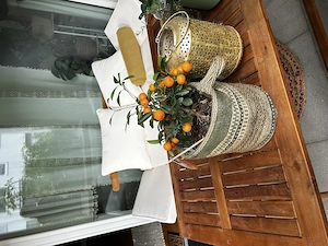 Gartenmöbel Teak Liege Bank und Tisch Bild 2