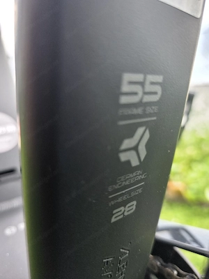 E-Bike Carver Route E.520 Bild 5