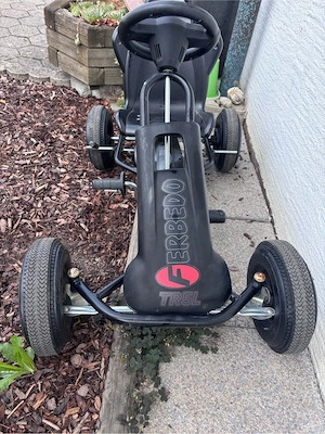 GoKart Ferbedo TR5L Bild 2