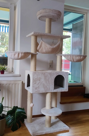 Katzen Kratzbaum NEU Bild 2