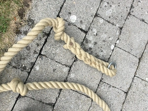Super Baumschaukel zu verkaufen  Bild 3