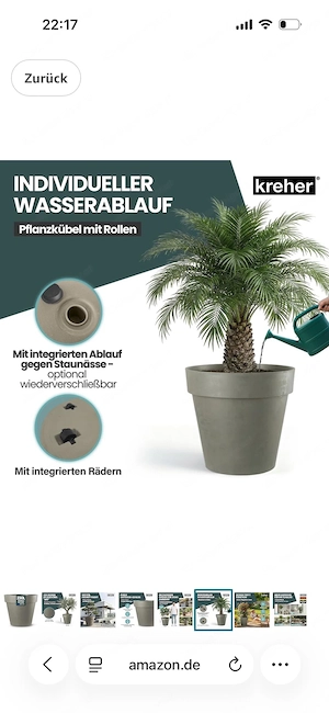 XXL Pflanzkübel auf Rollen Bild 4