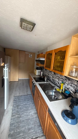 3 Zimmerwohnung mit Gartenanteil Bild 3