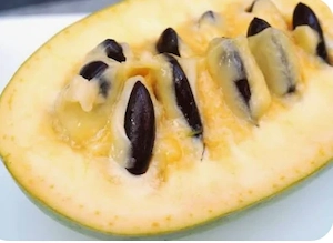 Indianerbanane PAWPAW - winterhart! Bild 2