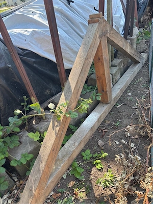 Brennholz Altholz Bild 5
