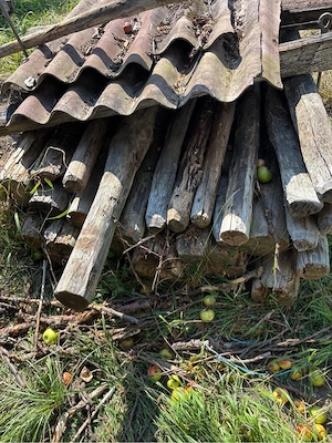 Brennholz Altholz Bild 2