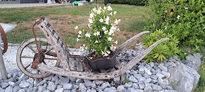Ich suche räder Bild 2