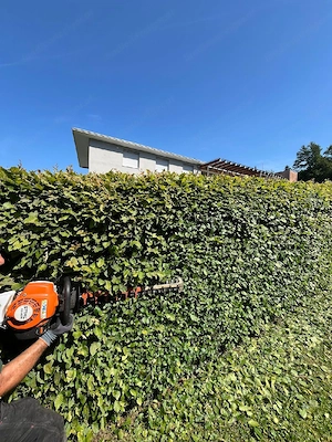 Profi Gärtner für ihren Garten Bild 3