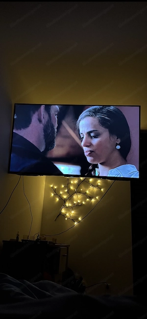 Sony Fernsehr & Fire TV Stick Bild 2