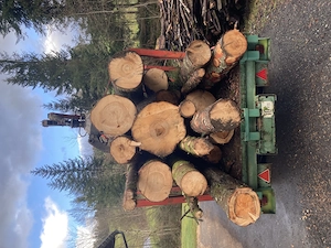 Rückewagen, Kranwagen, Hiab, Blockwagen, Holzwagen Bild 3