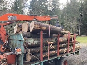 Rückewagen, Kranwagen, Hiab, Blockwagen, Holzwagen Bild 2