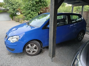 Vw Polo (Blau) Bild 3