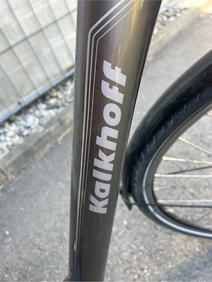 E-Bike zu verkaufen Bild 2