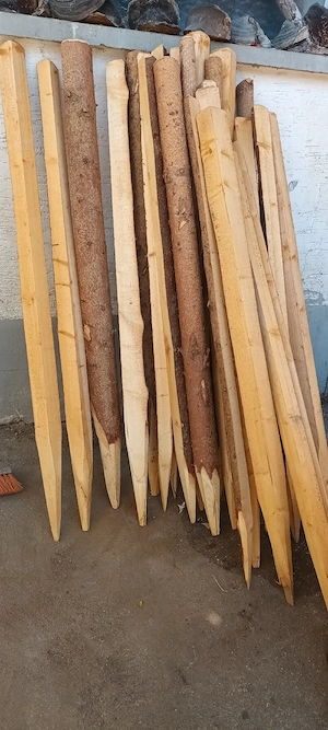 Holzpfähle 