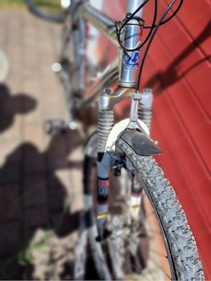 Damen Mountainbike Bild 3
