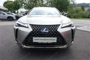 Lexus UX Bild 3