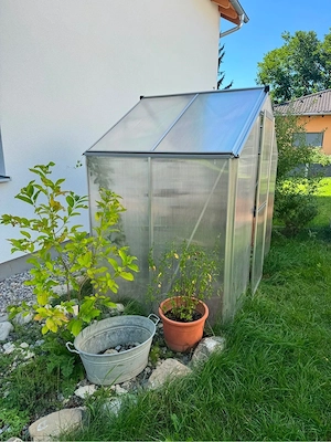 Gewächshaus Bild 2