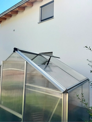 Gewächshaus Bild 3