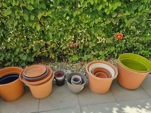 Blumentöpfe abzugeben Bild 2