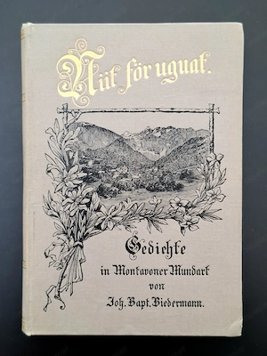 Alte Bücher vorarlberger Schriftsteller | Vorarlbergensien Bild 9