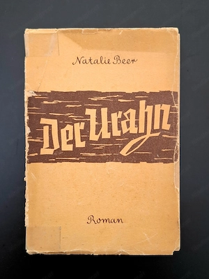 Alte Bücher vorarlberger Schriftsteller | Vorarlbergensien Bild 4