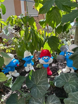 Garten Schlümpfe ! Bild 2