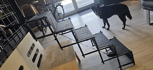 Hundetreppe  Bild 2