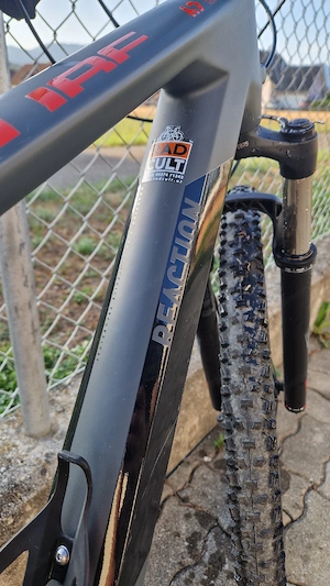 Mountainbike  Bild 3