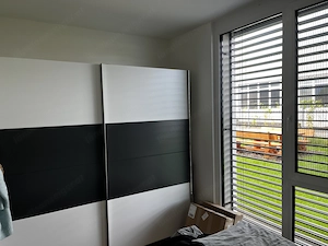 HARD - 2-Zi.Wohnung 50m  mit EG mit Terasse  - zu vermieten Bild 4